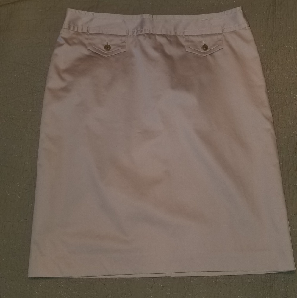 Casual Corner Skirt